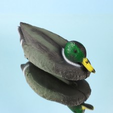 Waterfowl - the decoy figure 