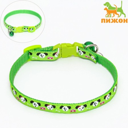 Two -layer collar with fastx "delicious" 30 x 1 cm, green