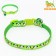 Two -layer collar with fastx "delicious" 30 x 1 cm, green