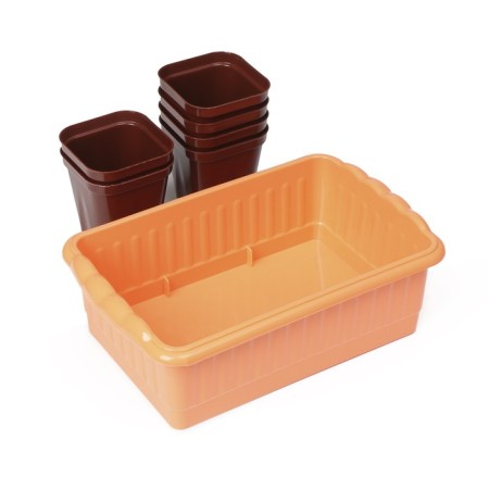 Set for seedlings: glasses of 250 ml (6 pcs.), Container 24 × 16 cm, mix-9
