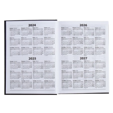 The diary is half-dantered for 4 years A5, 192 sheets, solid cover, silk, gray-blue-3