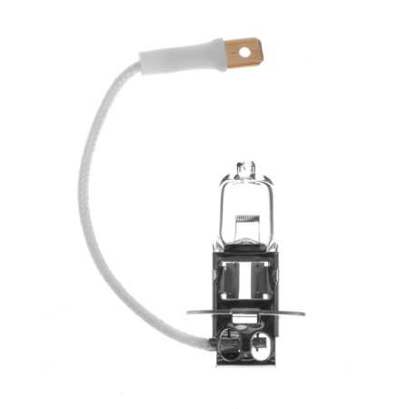Carlight Longlife, H3, 12 V, 55 W