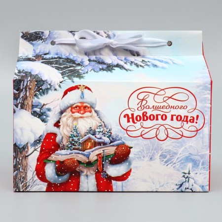 Box for the sweets of the "Magic New Year!", 10 x 18 x 14 cm, New Year-2