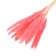 Sukhotzet "reed" set 15 pcs, the color is gently pink
