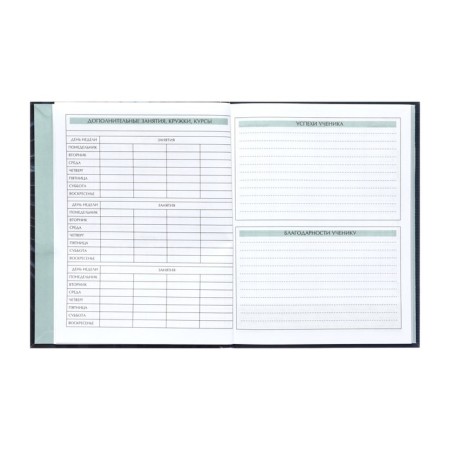 Diary for grades 5-11, 48 sheets, technoboom, integral cover, glossy lamination, print on a holographic film-7