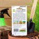 Seeds Tomat "Velmozha", 20 pcs