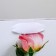 Package Gift Laminated Vertical, packaging, “You are beautiful”, S 12 x 15 x 5.5 cm