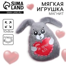 Soft toy-Magnet 