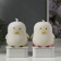 Nightnik "duckling" LED from 4haa USB RGB MIX 9x9x15.5 cm Risalux