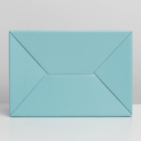 Gift folding box, packaging, Tiffany, 22 x 15 x 10 cm-6