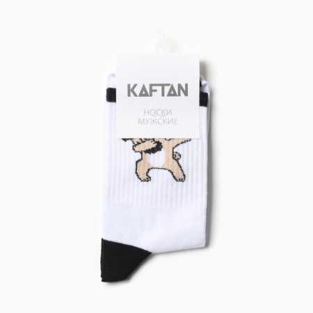 Носки мужские KAFTAN "Dab" р. 41-44 (27-29 см)-2