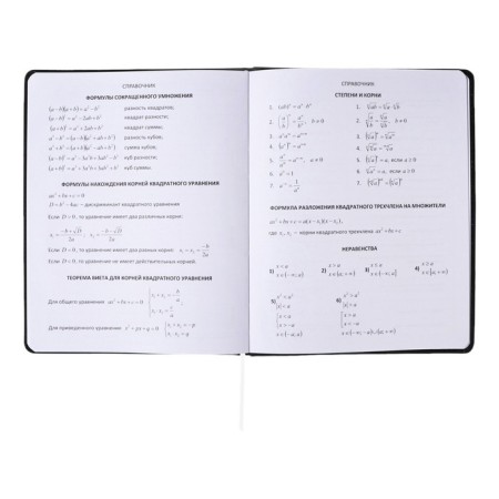 Universal diary for grade 1-11 Tokyo Girls, solid cover, artificial leather, foam rubber, liesse, 80 g/m2-8