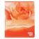 Notebook of 48 sheets in a cage on an apricot paper clip, covered cardboard, matte lames, mix