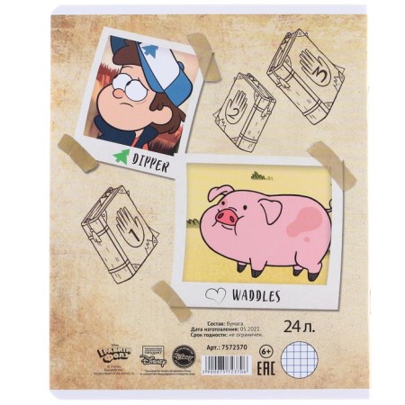 Notebook in a cage 24 sheets, 5 types of mix, cover coated cardboard, gravity farz-7