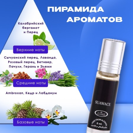 Men's oil perfumes Suawace, 6 ml-1