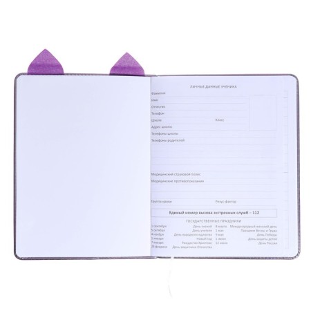 Universal diary for grade 1-11 Cat’s Eyes, hard cover, artificial leather, foam rubber, liesse, 80 g/m2-3
