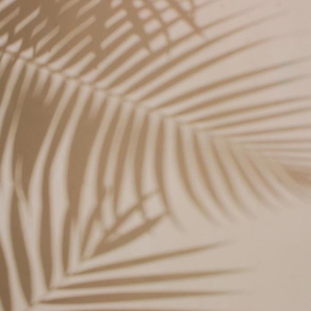 Photophone bilateral paper 300 grams "Shadow and leaves" 57x87 cm-2
