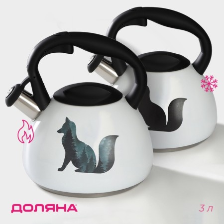 A kettle with a stainless steel whistle “Fox”, 3 l, with a heating indicator