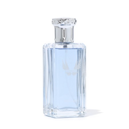 Men's toilet water Courageous, 100 ml-1
