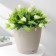 Pot for flowers with a Saffron pallet, 1.5 l, d = 14.6 cm, h = 13.5 cm, beige color