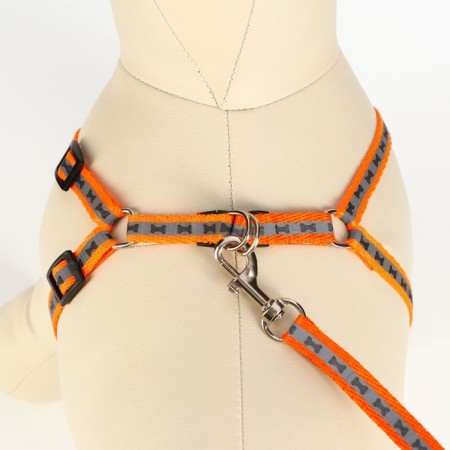 The reflective “bones” set, a collar of 120 x 1 cm, Osh 24-40 cm, fire 24-40 cm orange-4