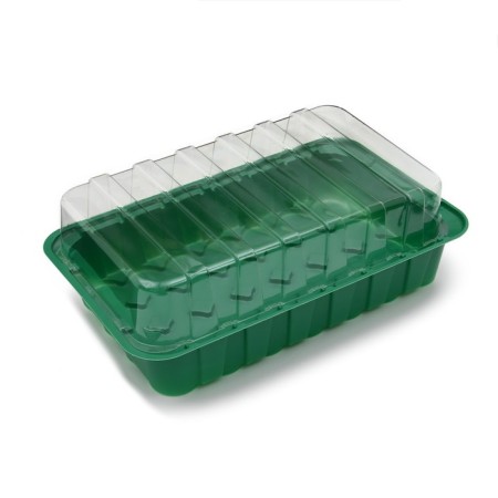 Mini-Pirate for seedlings, 35.5 × 22 × 11 cm, inserts (28 pcs.) For tablets for seedlings d = 4 cm, Greengo-2