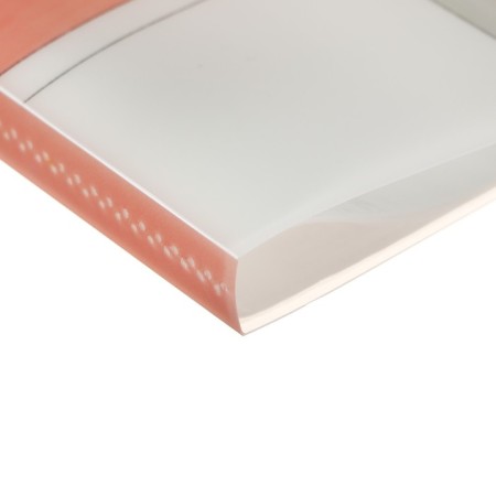 A4 format folder, with 40 transparent files, "attraction" mix-6
