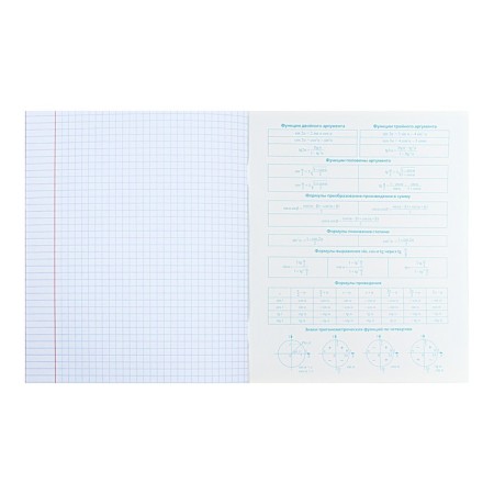 A notebook “Notebook”, 48 sheets in the “Algebra” cage, covered cardboard, selective varnish, with reference material-3