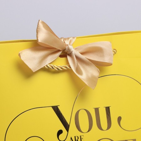 Gift package, packaging, "You are the Best", 19 x 20 x 9 cm-2