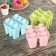 Form for ice cream "Nega", 6 cells, color mix