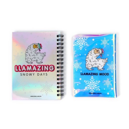 Gift set: Holographic Notepad and Hello Winter cover-4
