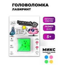 Головоломка «Гули ты делаешь?» 6,8 см