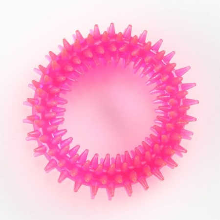 Chewing toy for dogs "needle ring", 9 cm, pink-1