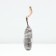 PION tree (vaccinated on grassy) "song of rain", 1 pc, tube, spring 2025