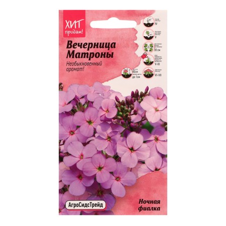 Flower seeds Vespers Matrona "Night violet", 0.2 g