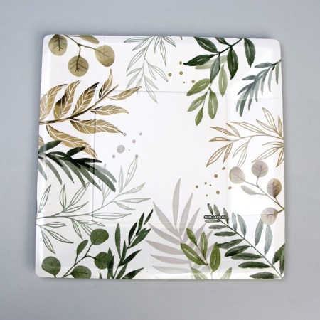 A disposable plate plate square "Eco", 21 cm-2