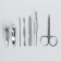 The manicure set of "delicate peonies", 7 items, in a case