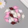 Decor for creativity Plastic "Landing on a stick" Mix set 20 g 3.3x1.5x0.3 cm