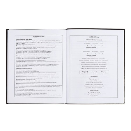 School diary for grades 1-11 "Leo", covered cardboard, glossy lamination, embossing foil, universal cheat sheet, 48 sheets, block 65g/m2-9