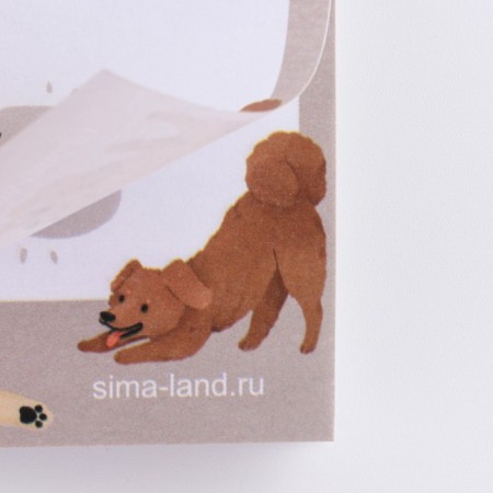 Paper block with torn sheets of 140 x 80 mm, 50 l mix-13