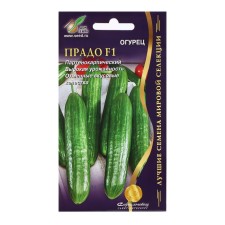 Seeds of cucumber 