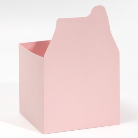 Box boxes "Lady Boss", 12 × 20 × 10 cm-2