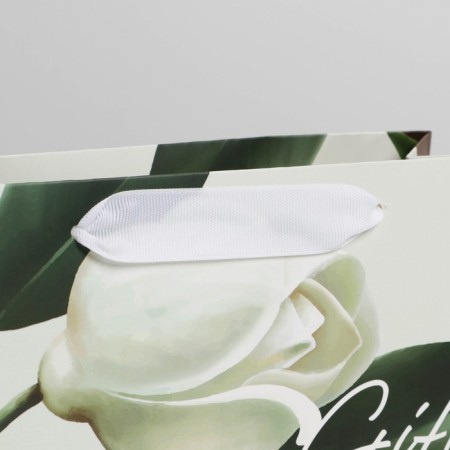 Gift Package Laminated, packaging, “Gift” 22 x 17.5 x 8 cm-3