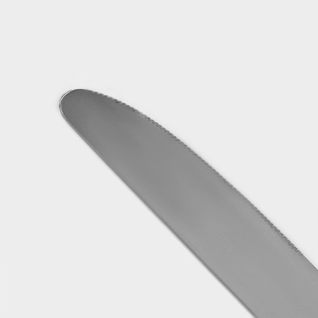 A stainless steel knife Gleen shade, length 22 cm, thickness 2 mm, silver color-2