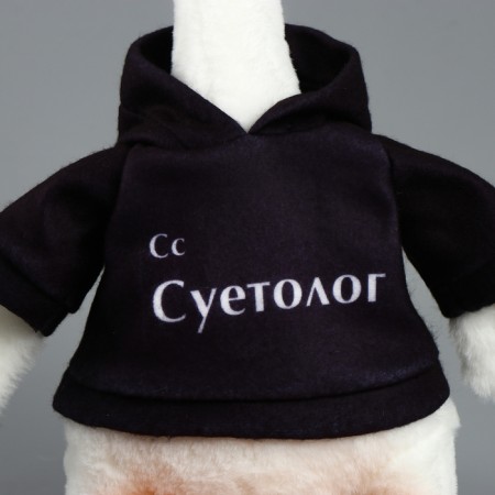 Soft toy "Goose: Suetologist", 35 cm-3