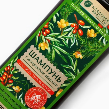 Hair shampoo with sea buckthorn extract, 500 ml, beauty pantry-3