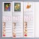 Quilling set (PVA glue, tool, ruler, 120 strips 54x0.5 cm) mix 30x21 cm