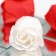 Soap roses, red and white, set of 9 pcs.