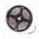 ARTE LAMP Tape 24V 9.6W/m, 6000k, 5 m