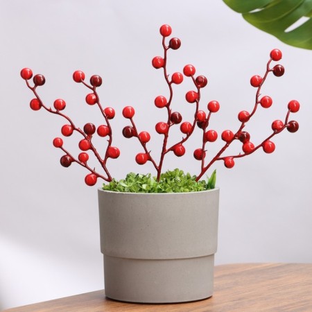 Set of plugs "Berries" 15 pcs, red, 33x10x2cm-2